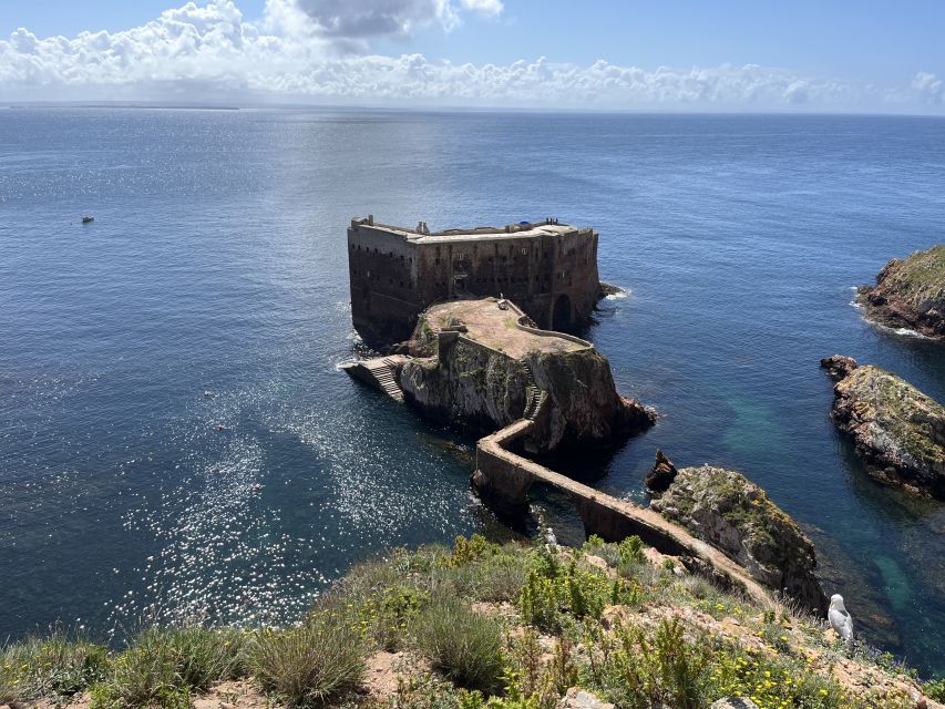 From Lisbon: Berlenga Grande Sightseeing Tour - Pickup and Meeting Point