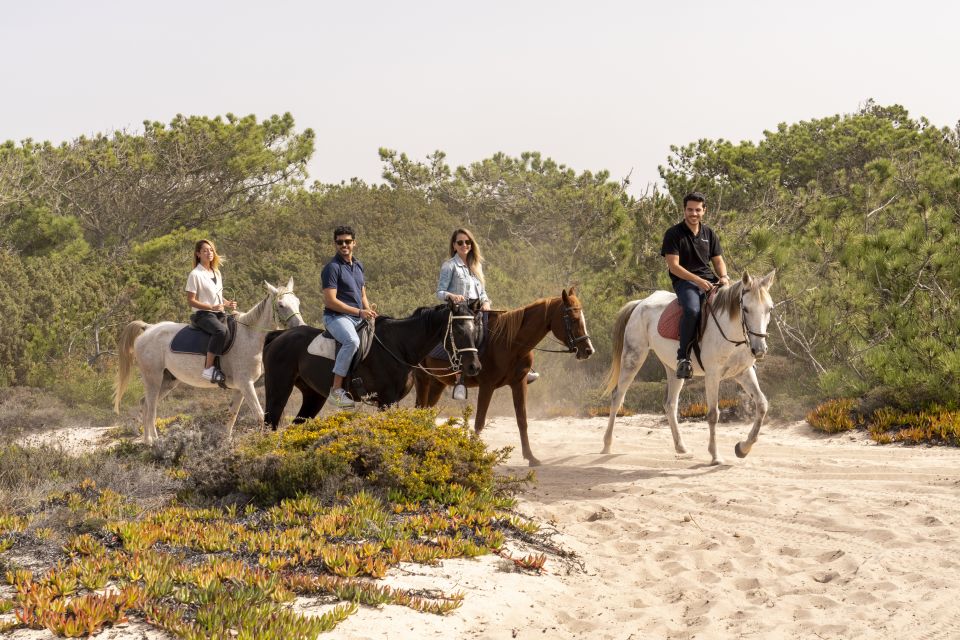 From Lisbon: Comporta and Setúbal Trip With Horseback Riding - Troia Peninsula Ferry