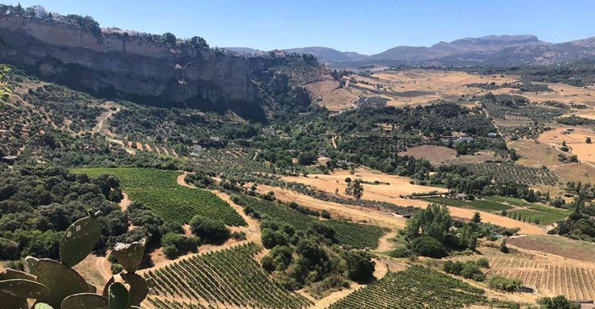 From Marbella: The Classic Ronda Wine Experience Day Tour - Scenic Views