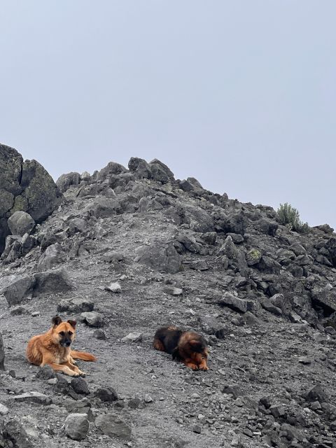 From Mexico City: Vulcano Summit 15354 Ft Private Tour - Altitude and Elevation