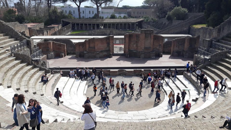 From Naples: Pompeii Private Half Day Tour - Inclusions