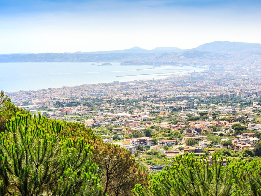 From Naples: Vesuvius Easy Tour - Meeting Point Information