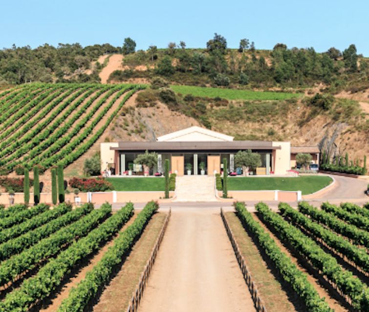 From Nice: Château Vaudois Private Tour With Picnic Lunch - Picnic Lunch Details
