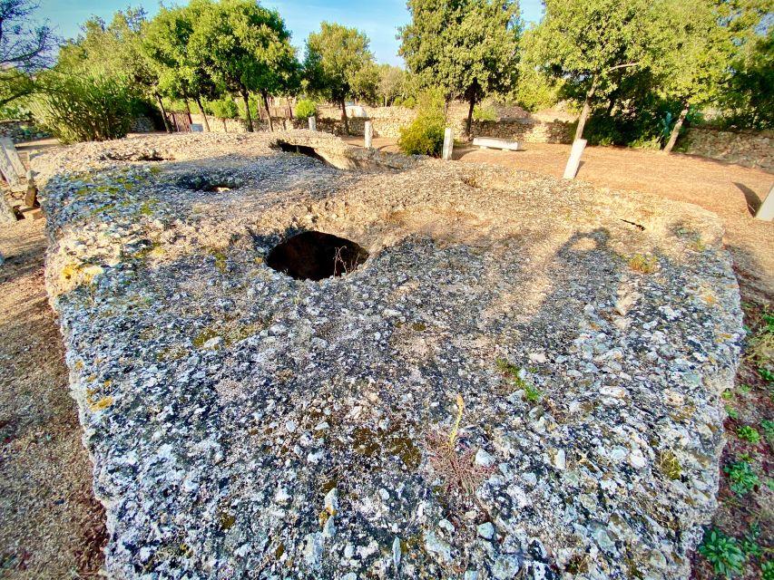 From Olbia: Sardinia Archaeological Tour - Inclusions