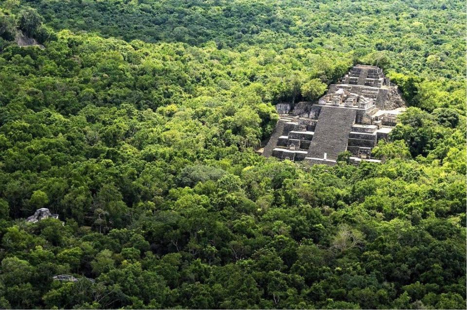 From Palenque: Calakmul Archaeological Zone - Jungle Exploration