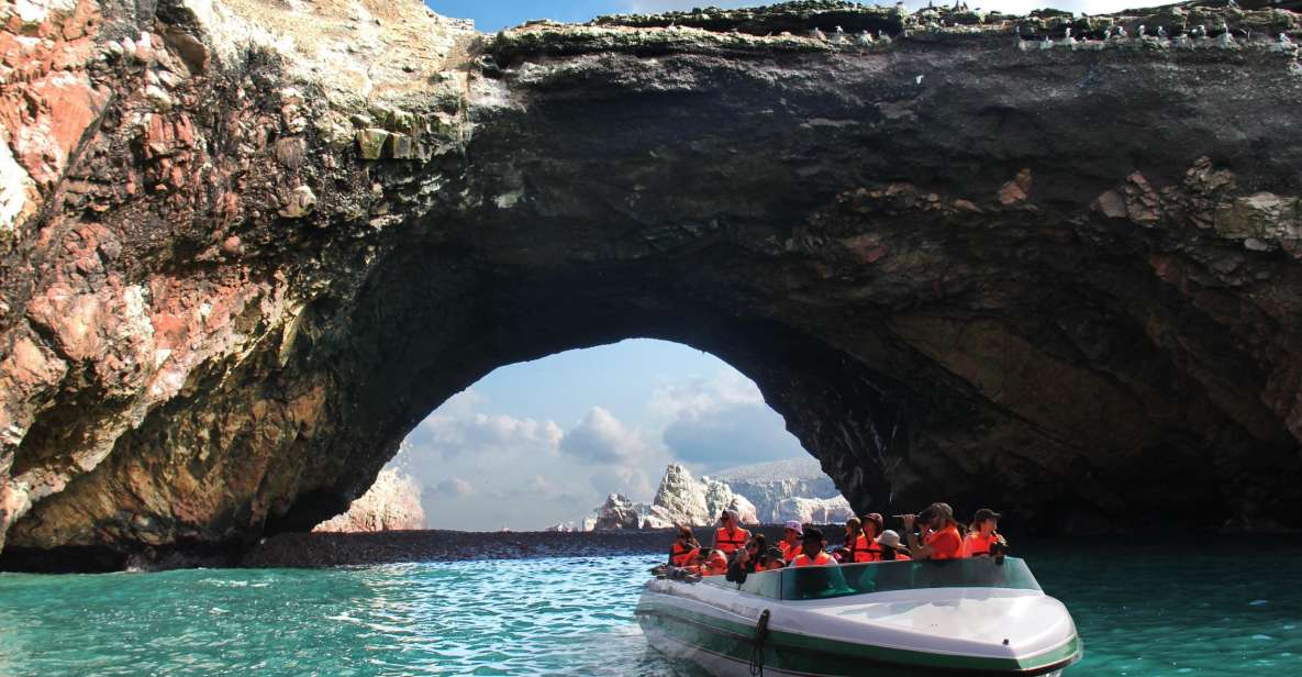 From Paracas || Excursion to the Ballestas Islands ||3 Hours - Wildlife to Expect