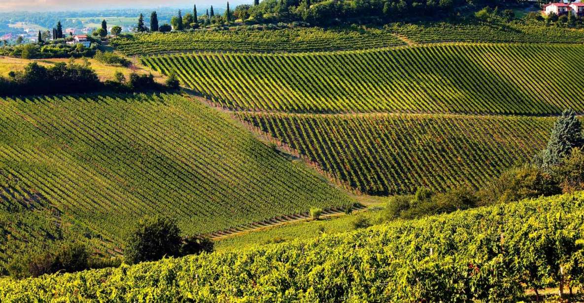 From Pisa or Lucca: Half-Day Tuscany Chianti Wine Tasting - Booking and Availability