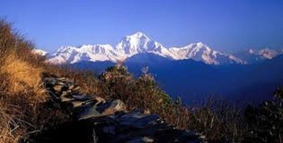 From Pokhara: 3 Day Amazing Ghandruk Poon Hill Trek - The Beauty of Poon Hill