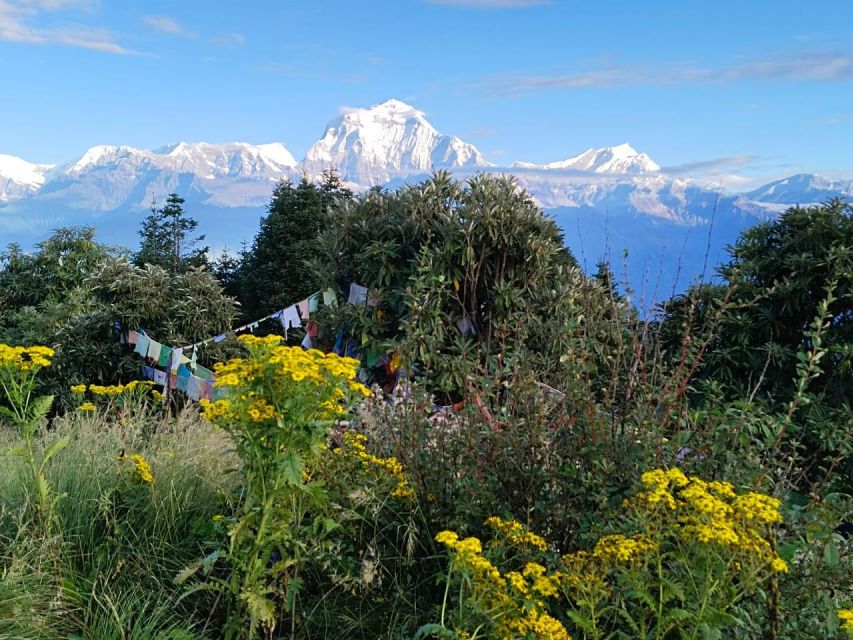 From Pokhara: 3 Night 4 Days Ghandruk Poon Hill Trek - Inclusions and Support