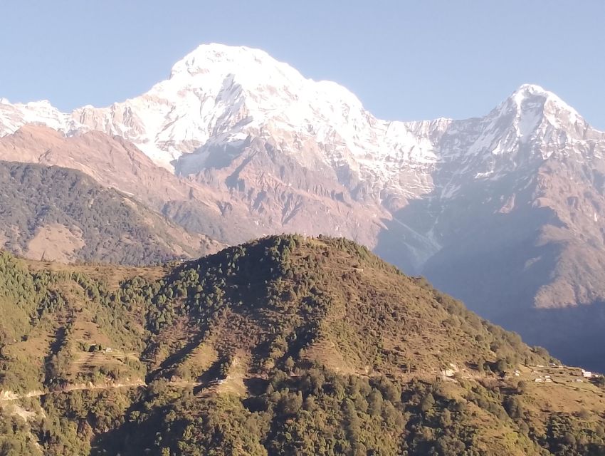 From Pokhara: 7 Days Budget Backpackers Group ABC Trek - Inclusions and Safety