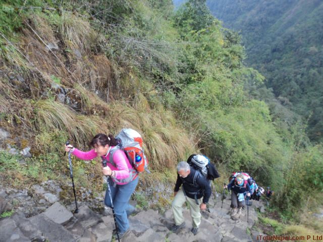 From Pokhara: Annapurna Base Camp Trek - Cultural Insights