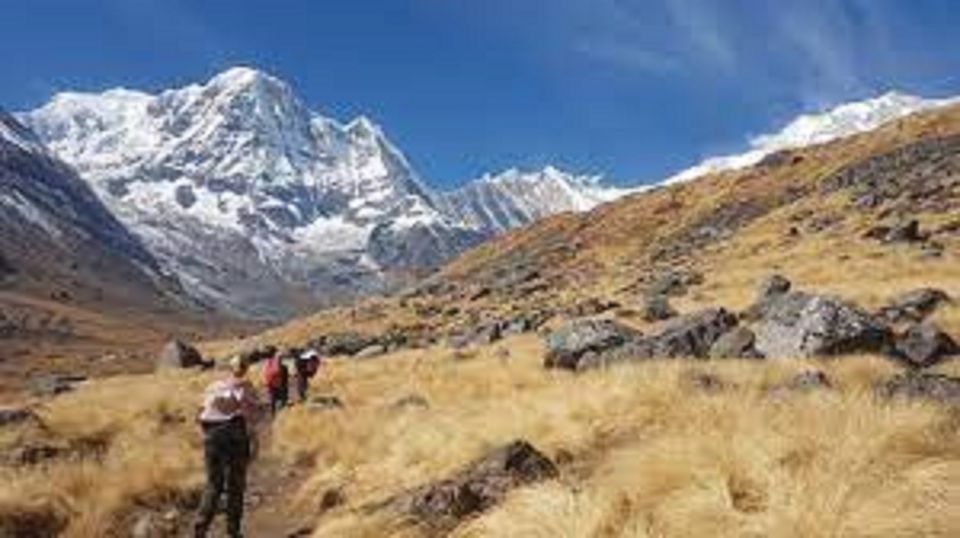 From Pokhara : Budget 6 Night 7 Day Annapurna Basecamp Trek - Transportation Details