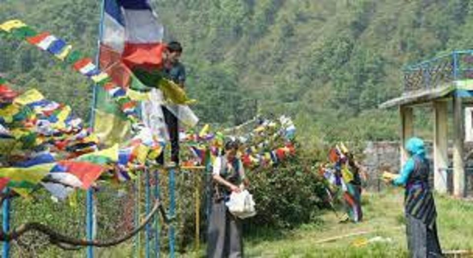 From Pokhara: Tibetan Cultural Day Tour - Inclusions and Exclusions