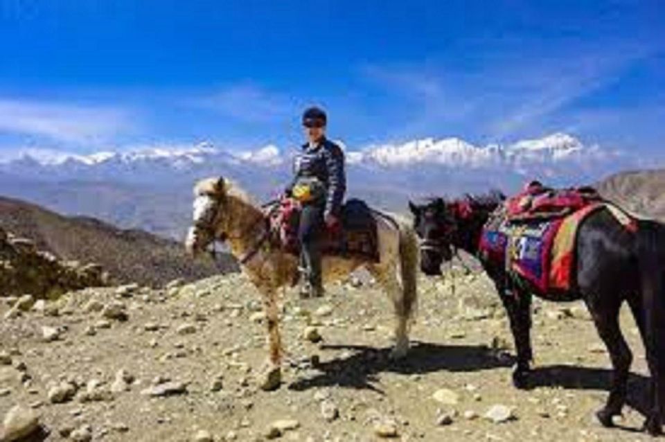 From Pokhara: Unforgettable Horseback Riding Adventure - Inclusions and Exclusions