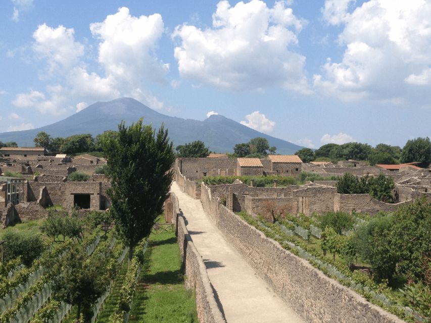 From Pompeii: Walking Tour With Guide in the Excavations - Language Options