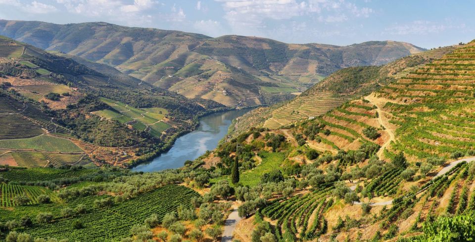 From Porto: Douro Pinhão/Régua Full Day Tour, All Inclusive - Restrictions