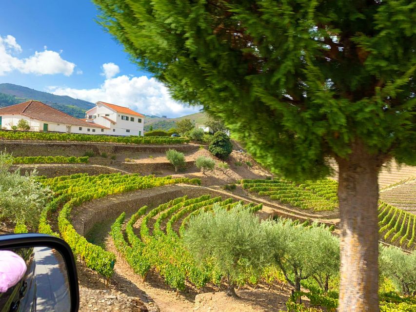 From Porto: Douro Valley Wine Tour With River Cruise & Lunch - Exclusions and Restrictions