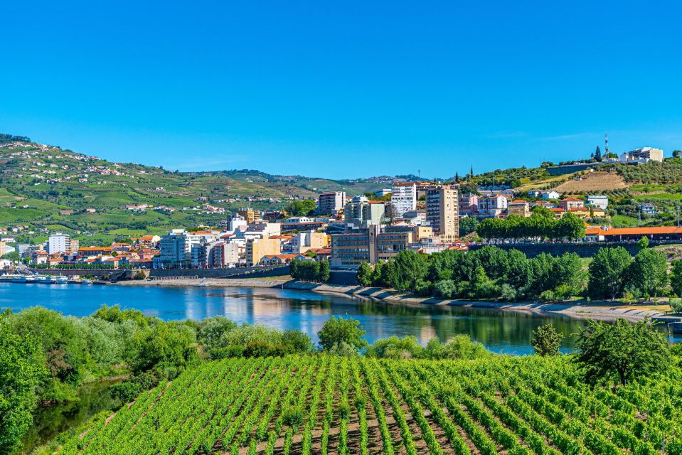 From Porto: Full-Day Douro Valley Trip and Port Wine Tasting - Discovering Pinhãos Charming Streets