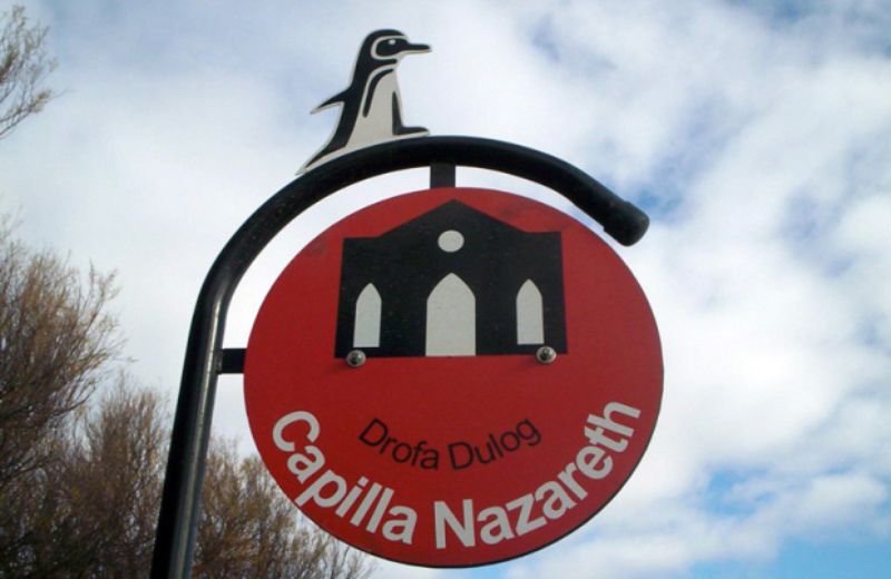 From Puerto Madryn: City and Punta Loma Tour - Customer Reviews