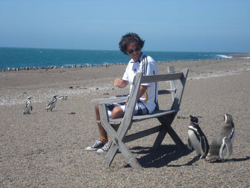 From Puerto Madryn: Penguin Tour & Valdés Peninsula Day Trip - Customer Feedback