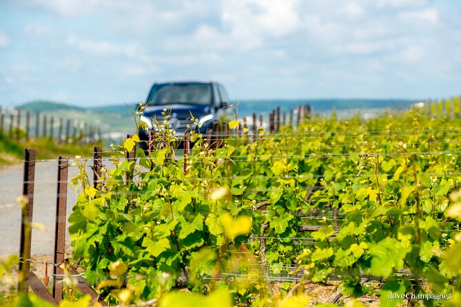 From Reims: Full Day Champagne Mumm, Family Growers & Lunch - Transport by Air-Conditioned Minivan