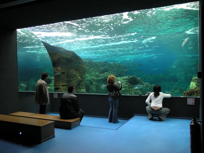 From Rethymno: Day Trip to Dinosauria Park and Cretaquarium - Pricing and Duration