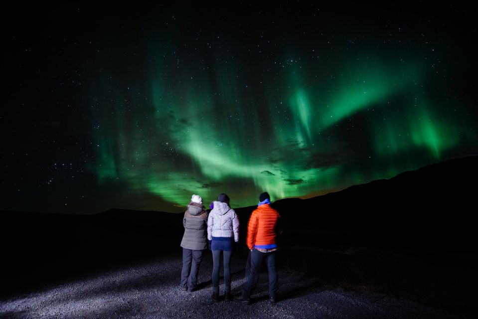 From Reykjavik: Northern Lights Minibus Tour - Tour Inclusions