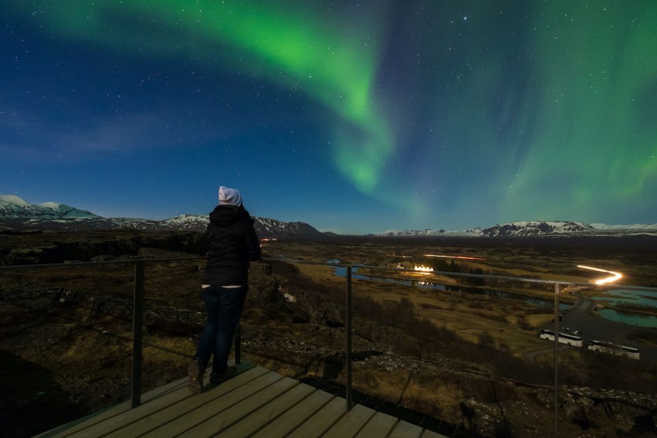 From Reykjavik: Northern Lights & Stargazing Bus Tour - What to Expect During the Tour