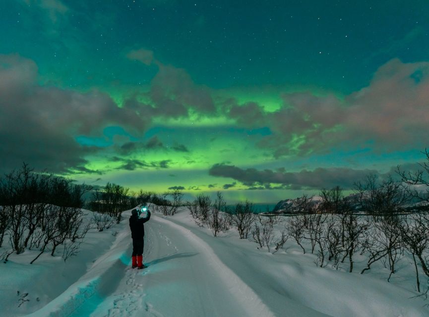 From Reykjavik: Northern Lights Tour - What to Expect