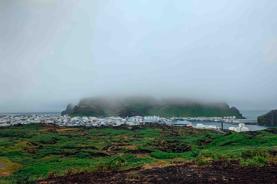 From Reykjavik: Vestmannaeyjar Islands, Puffins &Volcanoes - Inclusions