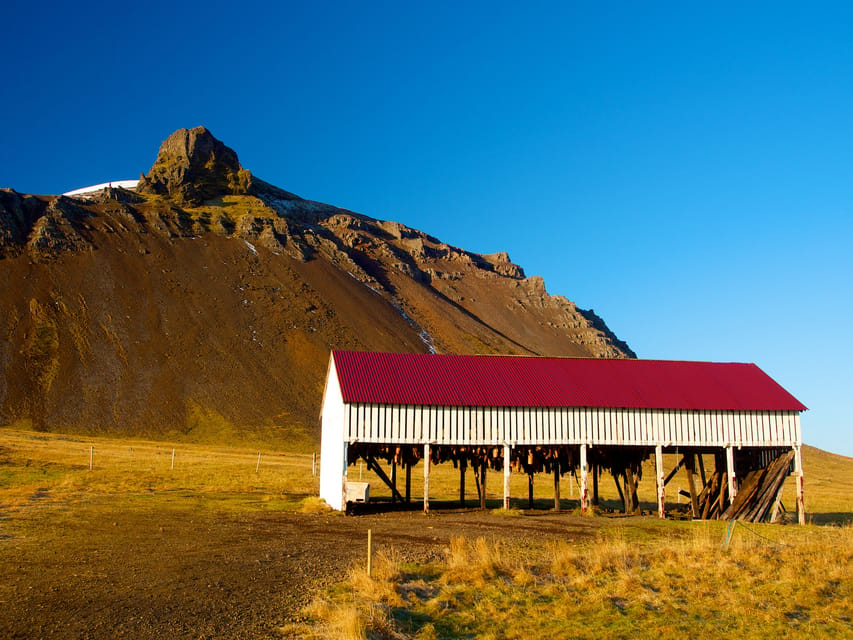 From Reykjavik: Wonders of Snaefellsnes Private Tour - Travel Experience