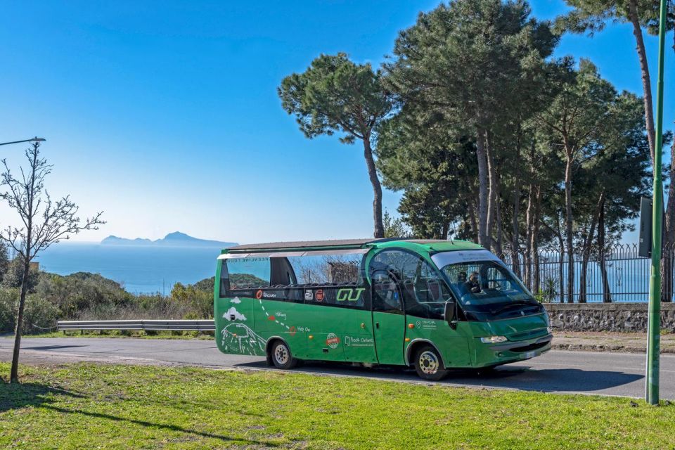 From Rome: Pompeii and Vesuvio Guided Day Trip With Lunch - Hiking Mount Vesuvius