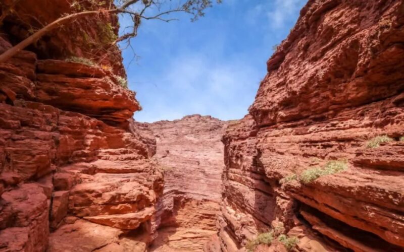 From Salta: Cafayate, Humahuaca, Cachi, & Salinas Grandes - Participant Insights