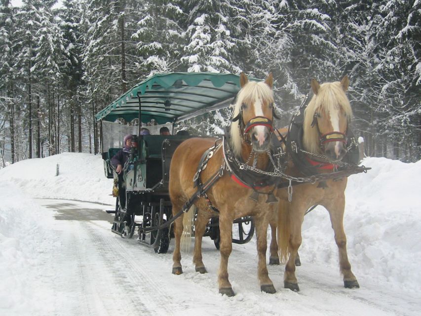 From Salzburg: Romantic Sleigh Ride Through the Countryside - Accessibility Considerations