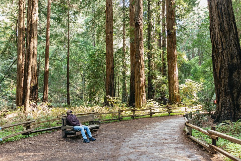 From San Francisco: Muir Woods National Monument Guided Tour - Included in the Tour