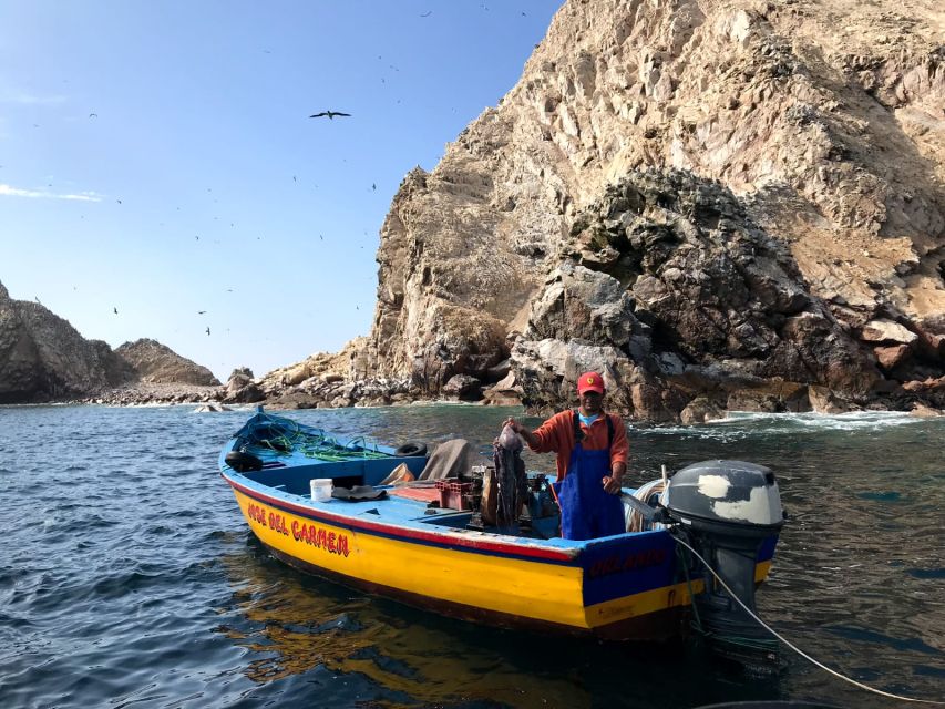 From San Martin: Ballestas Islands and Paracas Reserve - Wildlife and Scenic Views