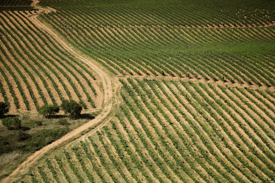 From San Sebastian: Rioja Uncorked - Private Wineries Trip - Winery Experiences