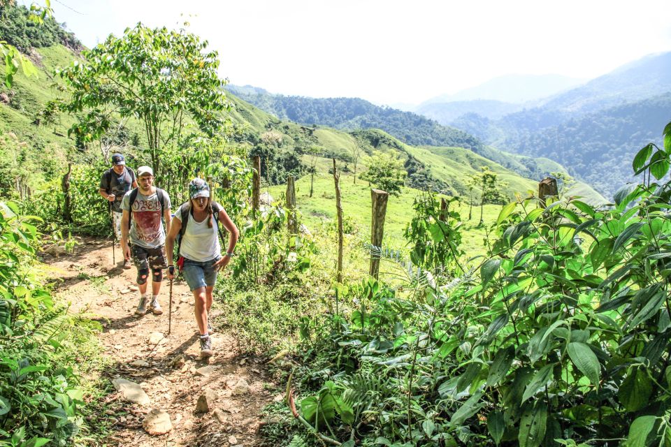 From Santa Marta: Ciudad Perdida 4-day Trek - Customer Feedback and Ratings