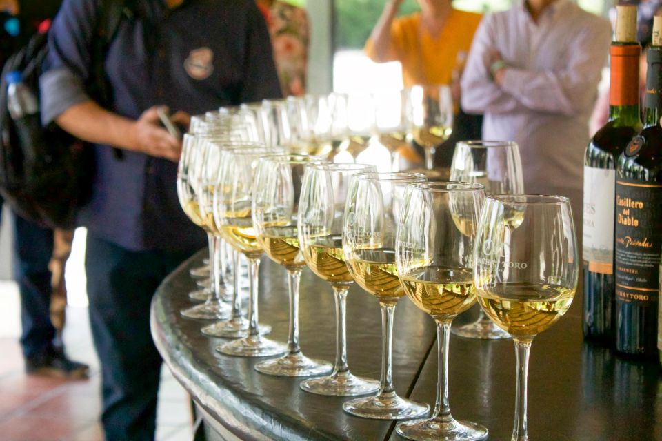 From Santiago: Concha Y Toro Half-Day Winery Tasting Tour - What to Bring