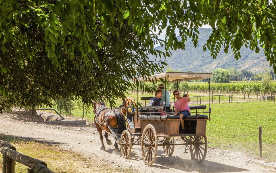 From Santiago: Private Colchagua Valley Wine Tour W/ Tasting - Booking Information