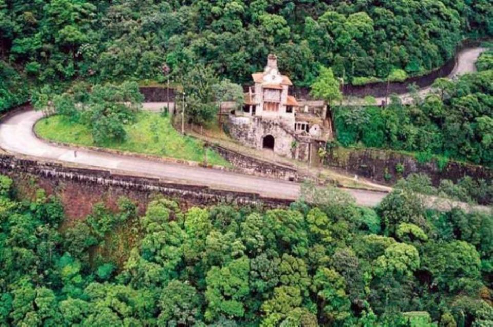 From São Paulo: Private Tour of Atlantic Forest & Valleys - Visitor Testimonials