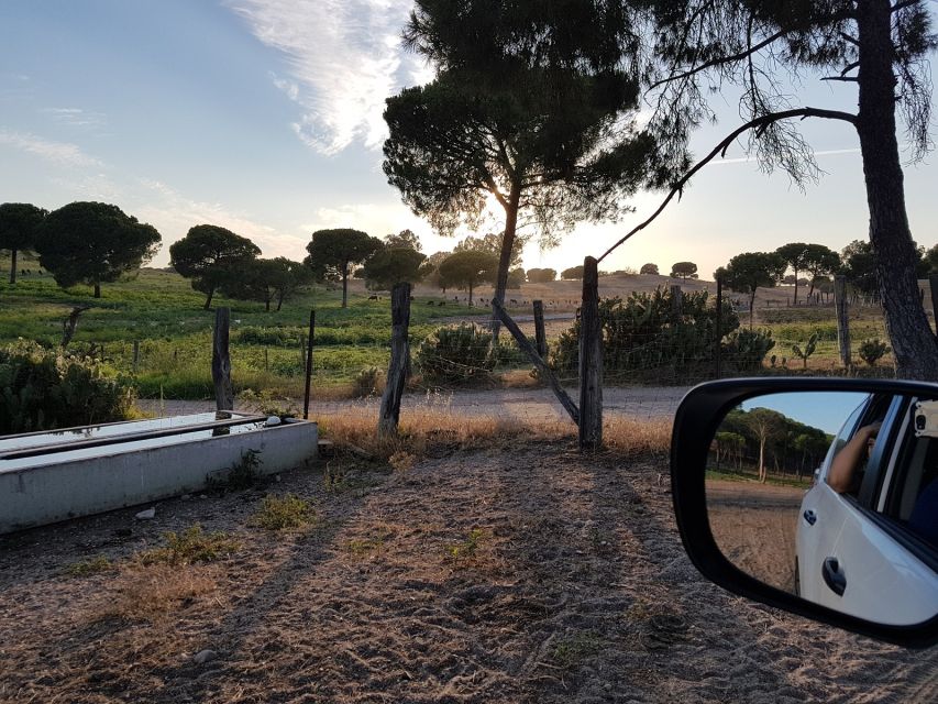 From Seville: Half-Day Bull Breeding Farm Tour - Tour Inclusions