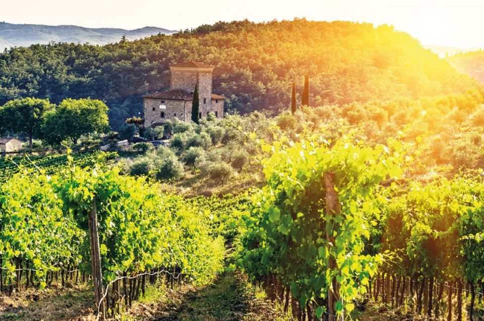 From Siena: Chianti and Castles Tour With Wine Tastings - Wine Tasting Information