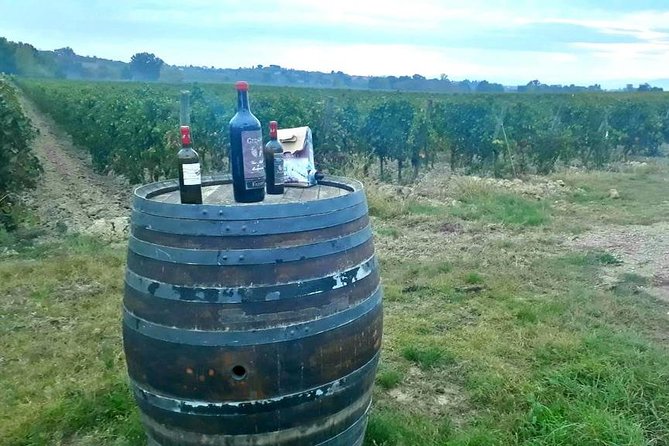 From Siena: Pienza and Montepulciano Wine Tour - Customer Feedback