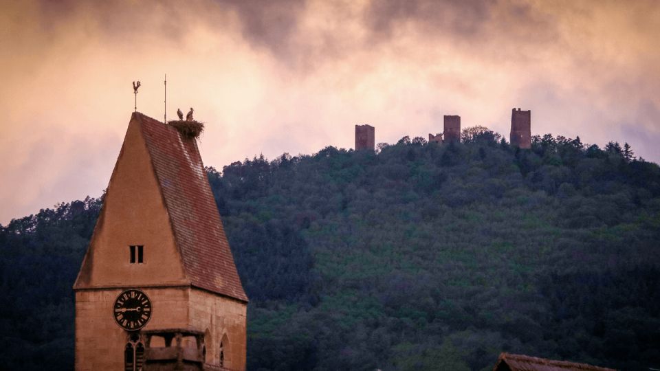 From Strasbourg: Discover Colmar and the Alsace Wine Route - Highlights of Eguisheim