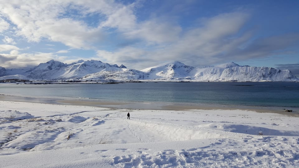From Svolvær: Reine Winter Photography Tour and Photographer - Notable Photo Stops