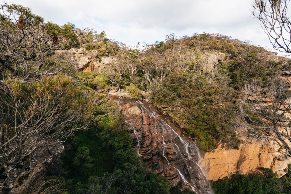 From Sydney: Blue Mountains Nature and Wildlife Tour - Customer Reviews