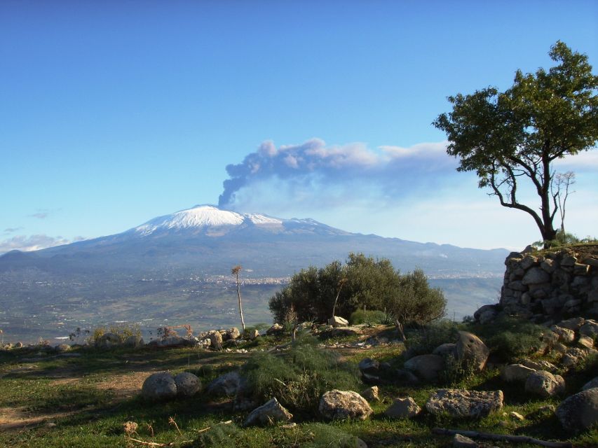 From Taormina: Mount Etna Guided Bus Tour - Important Information