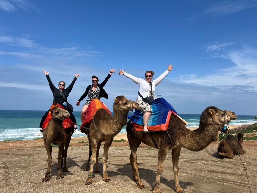 From Tarifa: Chefchaouen Daytrip With Ferry Ticket and Guide - Scenic Ferry Journey