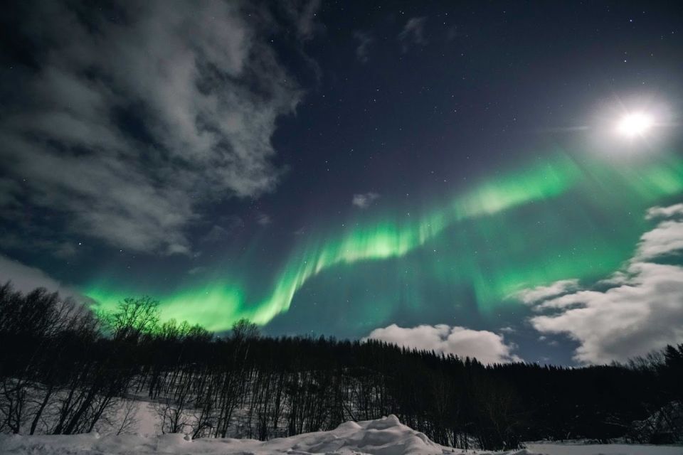 From Tromsø: Aurora Borealis Tour - Meeting Logistics